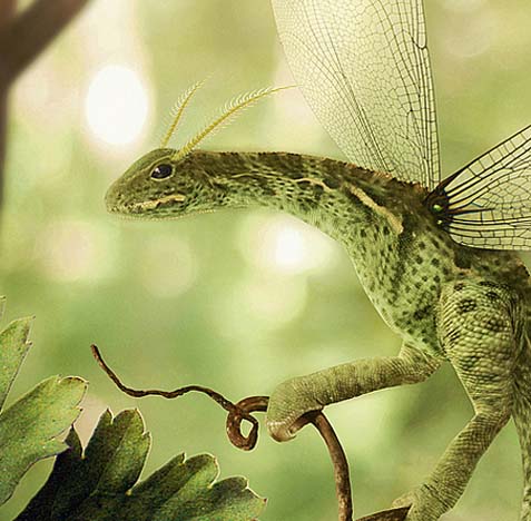 网络ddos监测分析工具